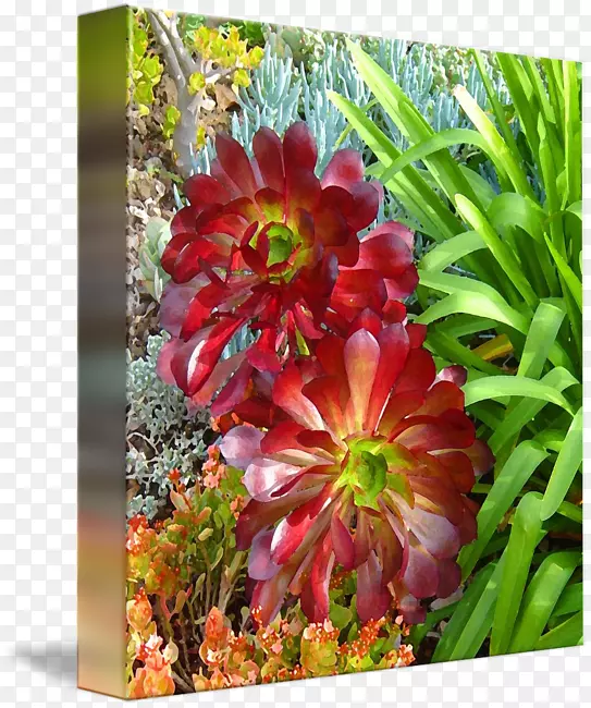 ������������滭�����滭-������