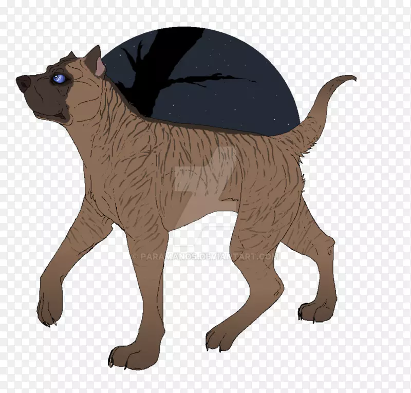 è�ƹ�צ����-è-������