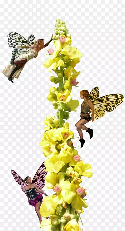 ����-������