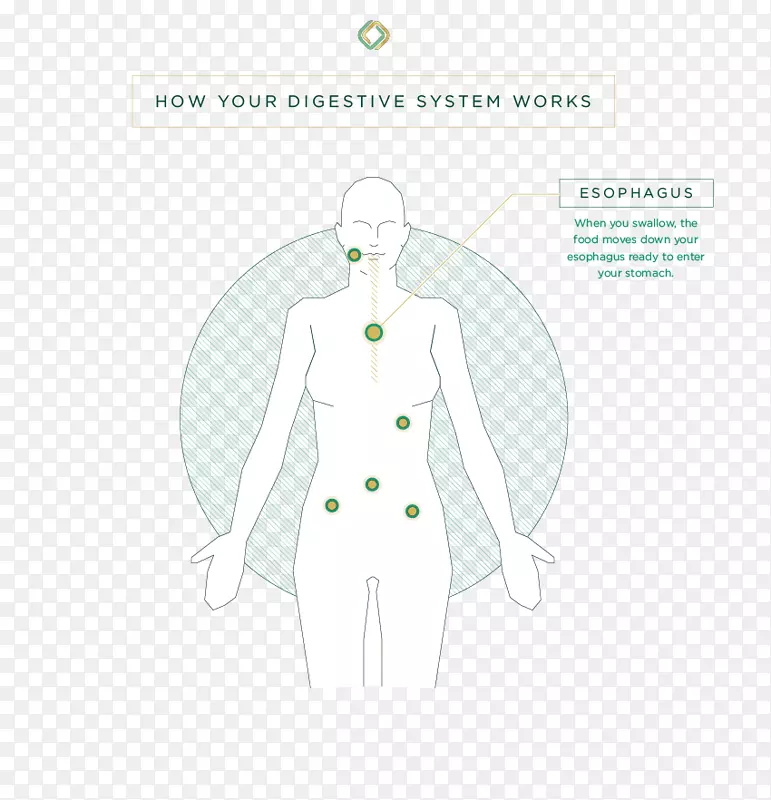 ��������.���-������