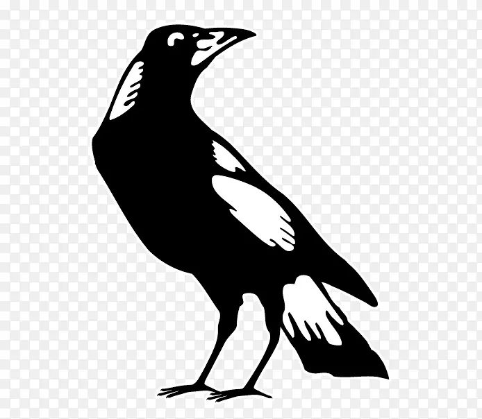 �������������ֲ��Ĵ�������������������������ֲ���������������ֲ��Ĵ����ǹ�������-��������-������