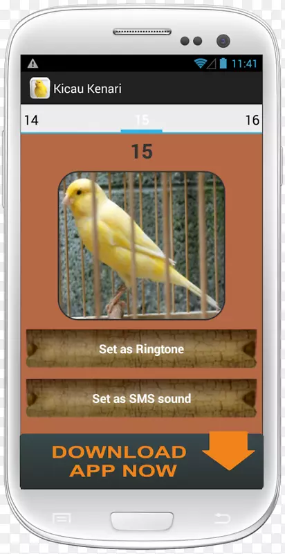 ͺӥ��׿������-������