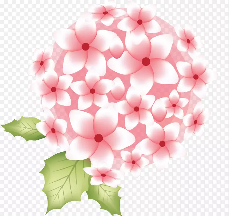 Krishna Janmashtami�����ֽӡ�Ƚ�-����ϣ��-������