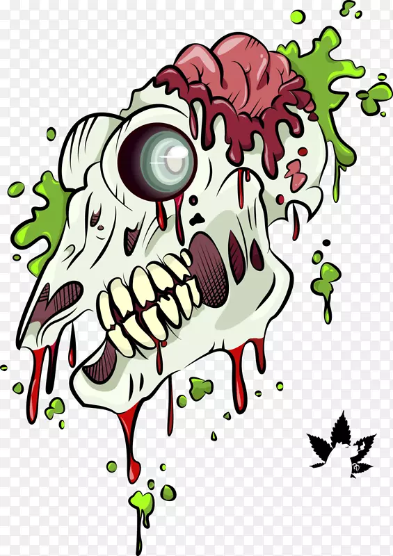 ͷ�ǹǿ���ֲ���Ӿ�����������ͷ��-������