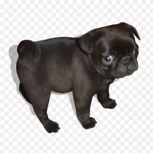 С�����Ĵ����ǣ��������ȸ�ͼƬ-С��-������