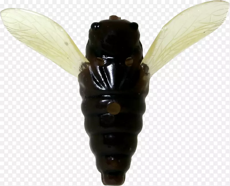 �Ʒ�-������