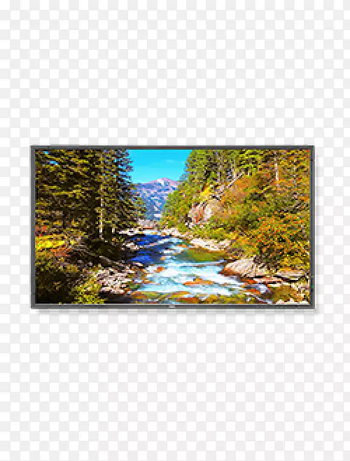 ����Һ��������ʾ��-������