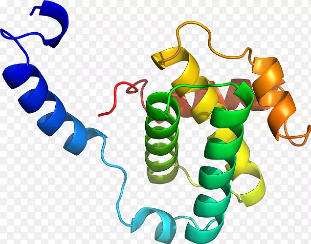 ���������л����߼�������-������