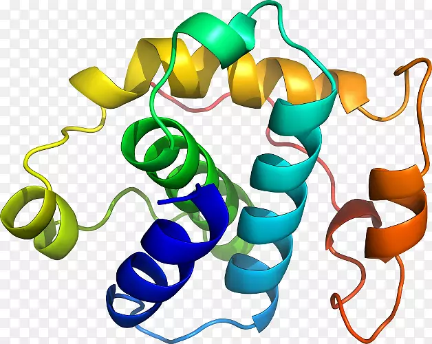 ���������л����߼�������-������