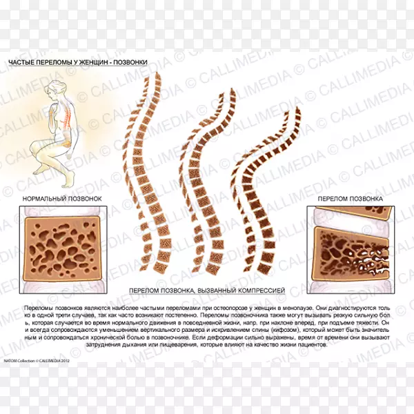 ��ƷʳƷ�������-������