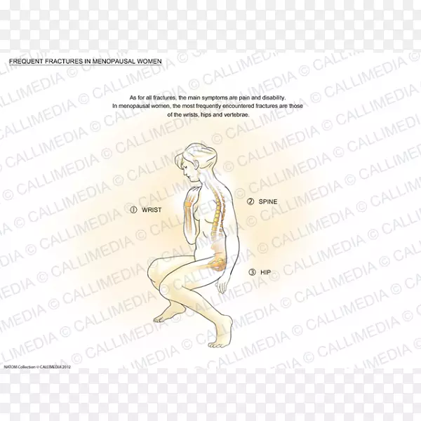 ��ָֽ���˹ؽڽ�-������