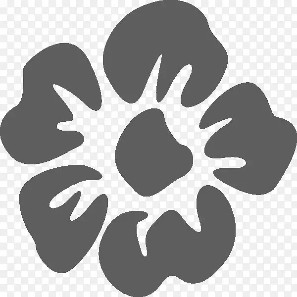 ���ո���ֽ������ǩ-��-������