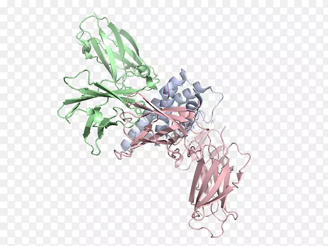 ��ľ����ֲ������-������-������