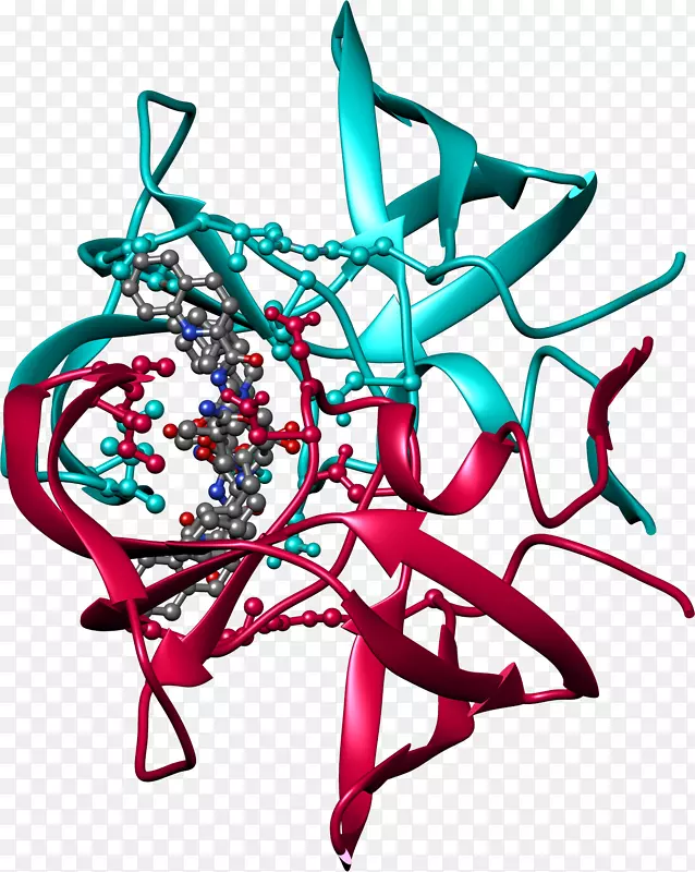 �����߼�������-������