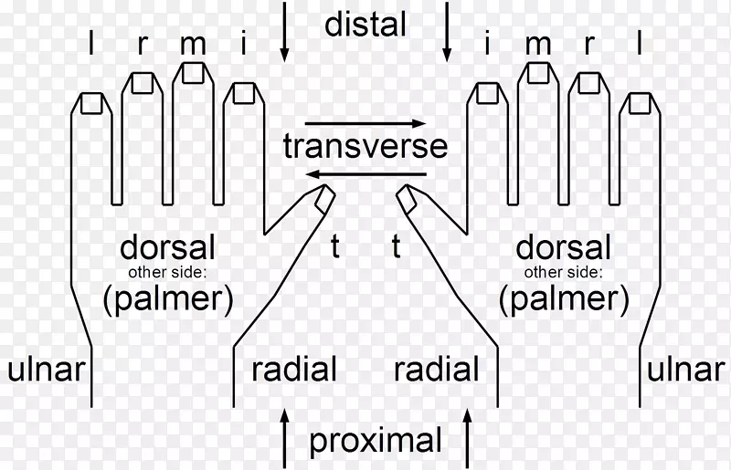 ���ν�����ָ��Ϸ�������-������