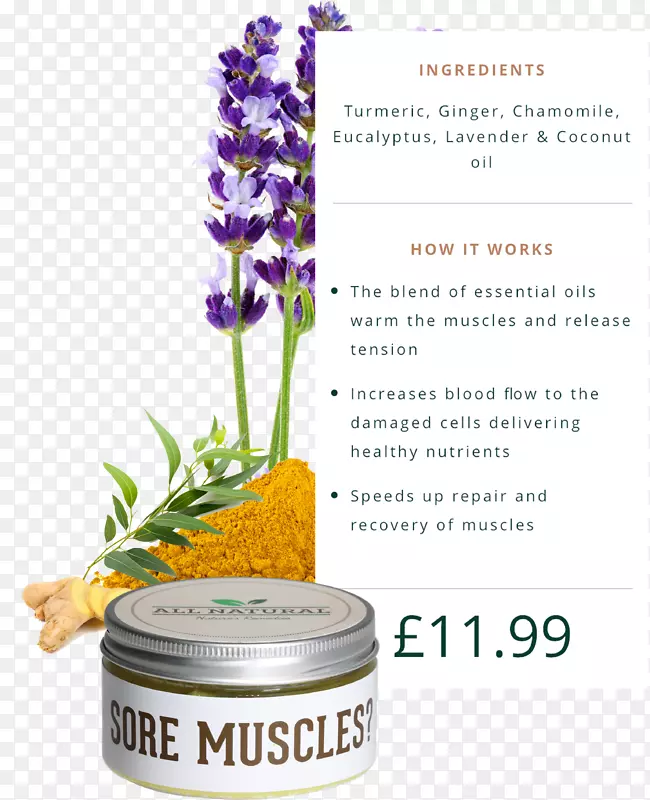 ޹�²��;������ܽ�������-������