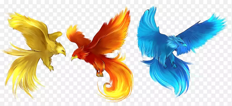 ̨ʽ��ֽ����-������