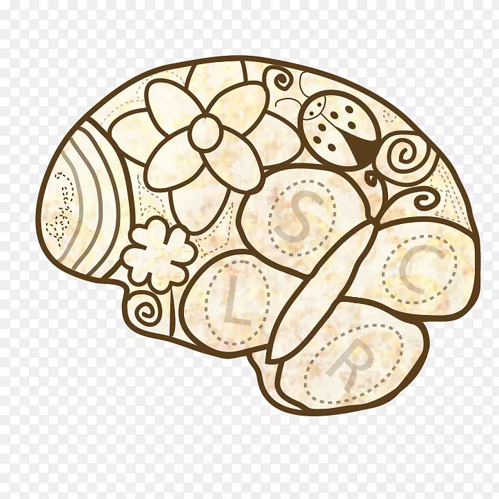 ���ʴ�������-������