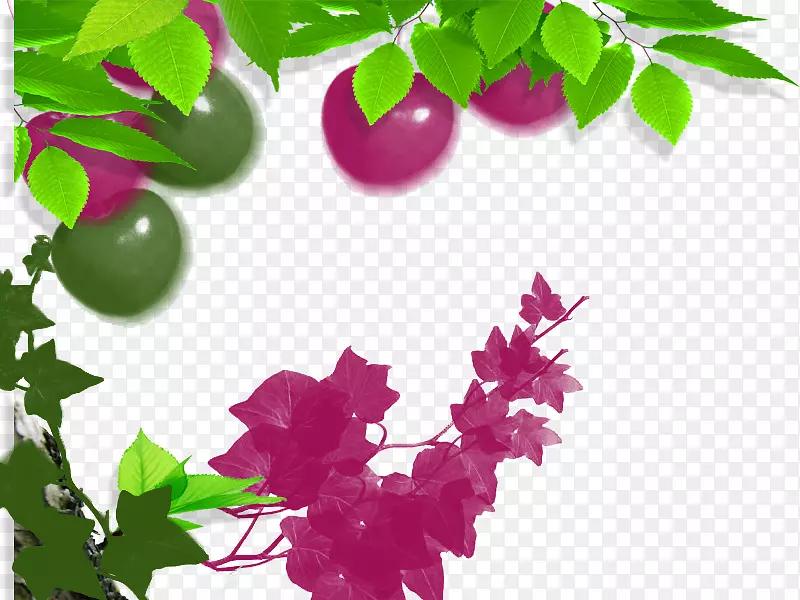 ����͸����ά�����ͼ��.��ά�ֻ�ƻ��-������