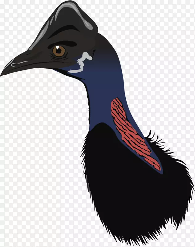 �����������ë��-������