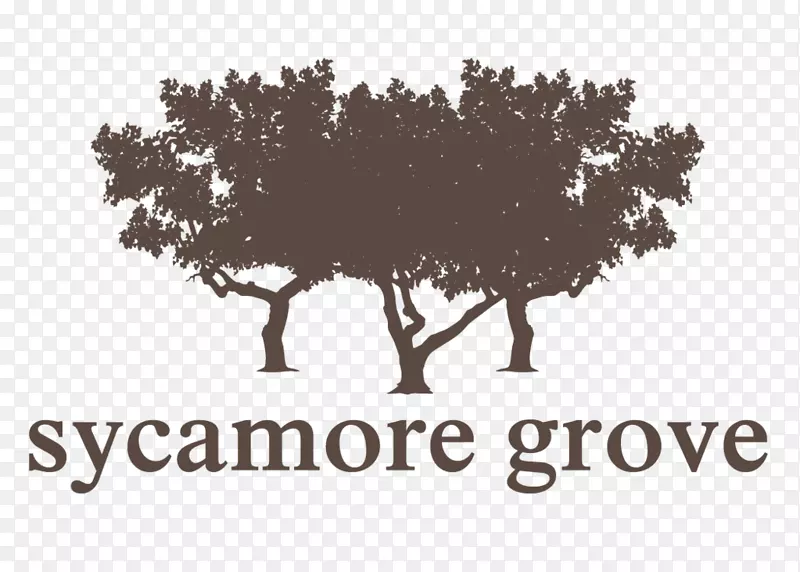 �ձ�Ʒ�Ʋ��ͷ���������-��ͩ��-������