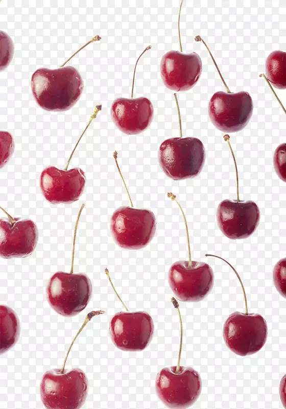 ӣ�����ҹ�ʵ-ӣ�ҹ�ʵ����ͼ-������