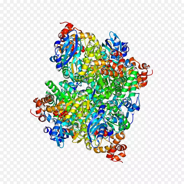 �ߵ������-��-������