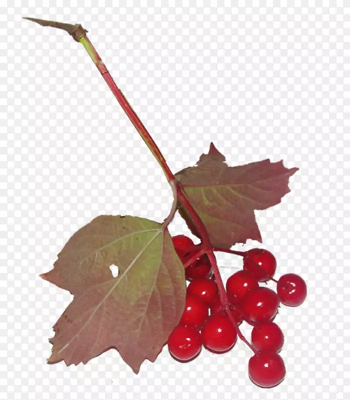 ӣ����ʵӣ��-������