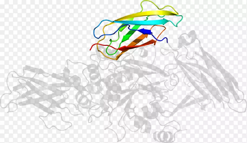 ƽ����Ƽ�����.���-������