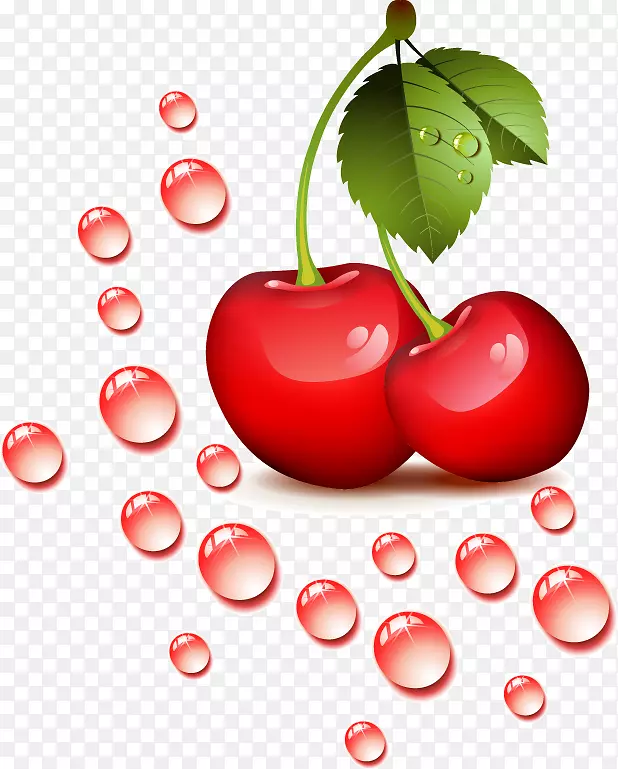 ӣ�Ҽ�����-С��ӣ��-������