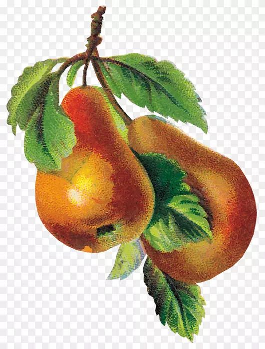 ƻ�����������-ƻ��-������