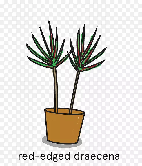 ���ƿ�����ֲ�ﻨ�������ֲ��-������