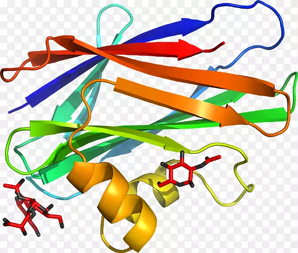 �ߵ������-��-������