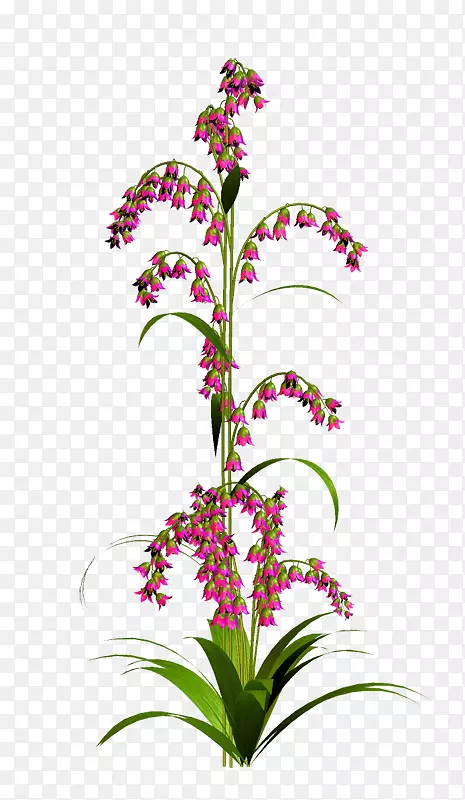 ����ˮ�ʻ�-���⻨��ˮ�ʻ�PS-������