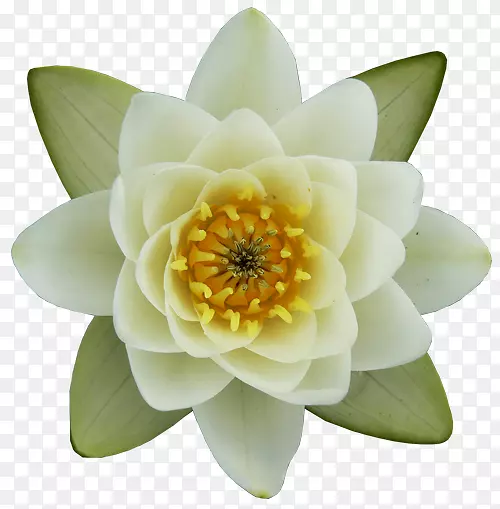 ������������-���Ͳ����߻�-������