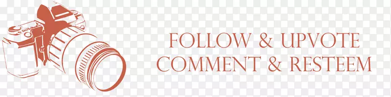 ��ָ�����ǻ�����־-Ф��-������