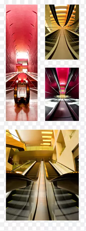 ƽ����ƺ��������ֽ���-������