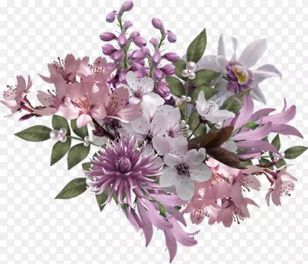 ���컨ˮ�ʻ���������ͨˮ�ʻ���ͼƬ-������