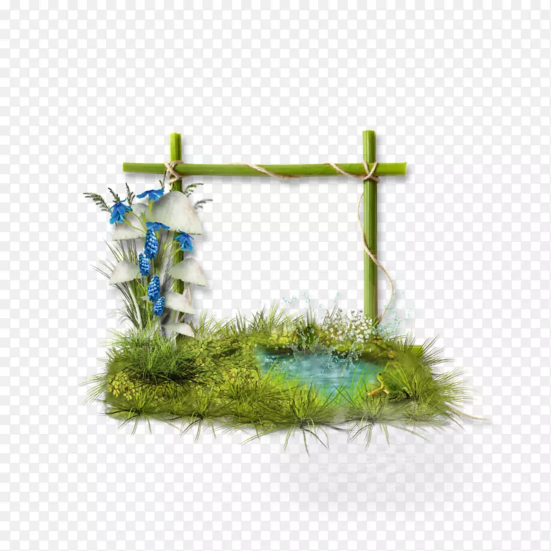 ˮ�ʻ�.�����ԵĻ�ˮ�ʻ���Ե����-������