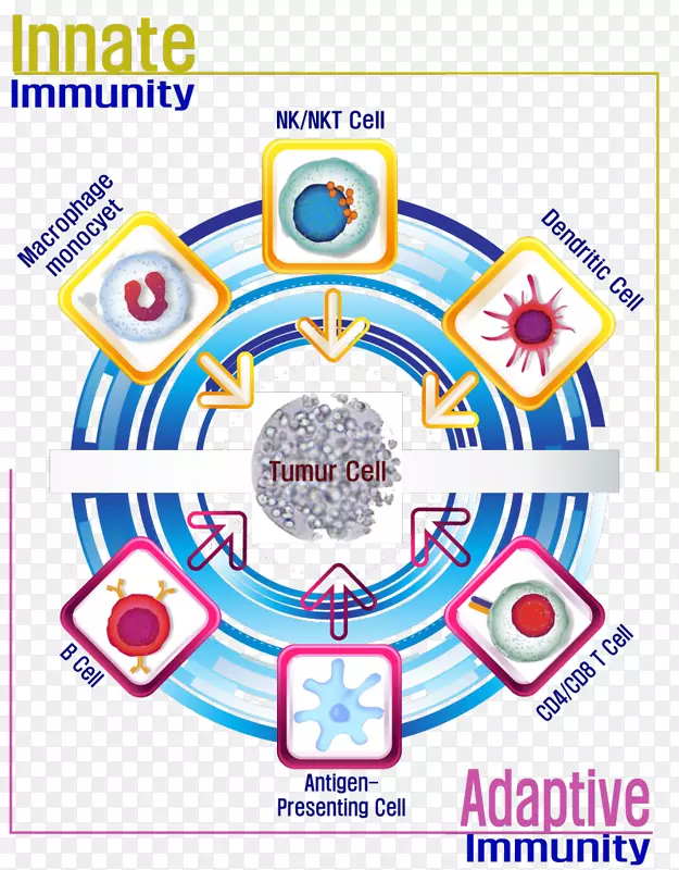 ϸ������������Ȼɱ��ϸ����ϸ��-��ͻ״ϸ��-������