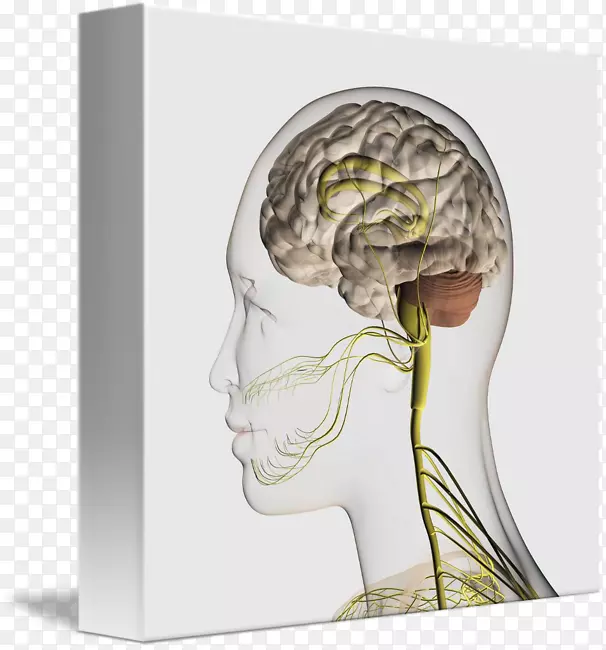 ������ϵͳ��Χ��ϵͳ�۴Խ�����-������