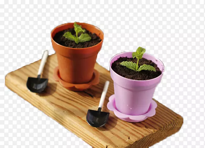 �̲�.�̲������������״-������