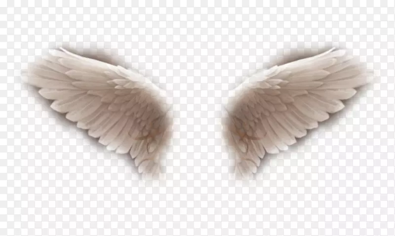 ëƤ���-������