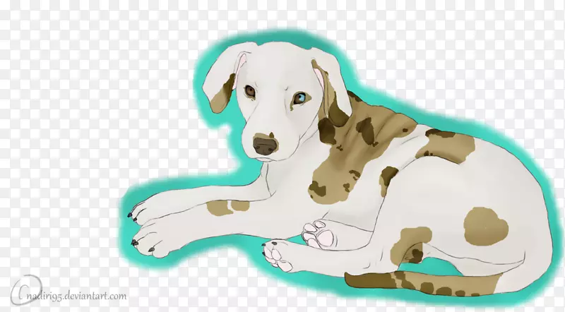 С����ֳ����-С��-������