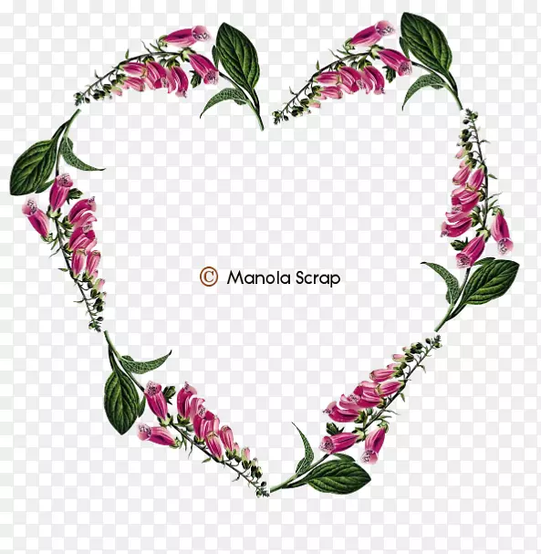 ������ƻ���-������