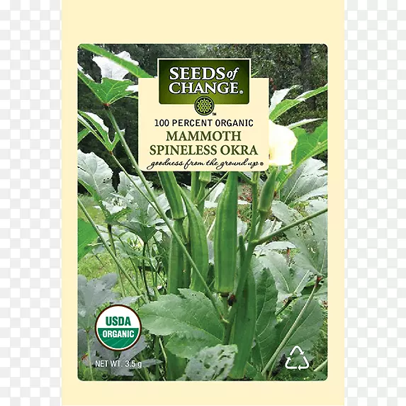 ���������ӡ�ȵ������߲�����-�߲�-������