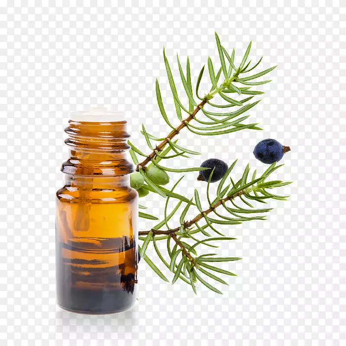 Ӣ��޹�²ݾ���޹�²���-������