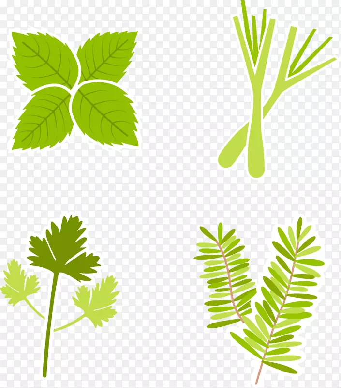 �����������-�߲˼�-������