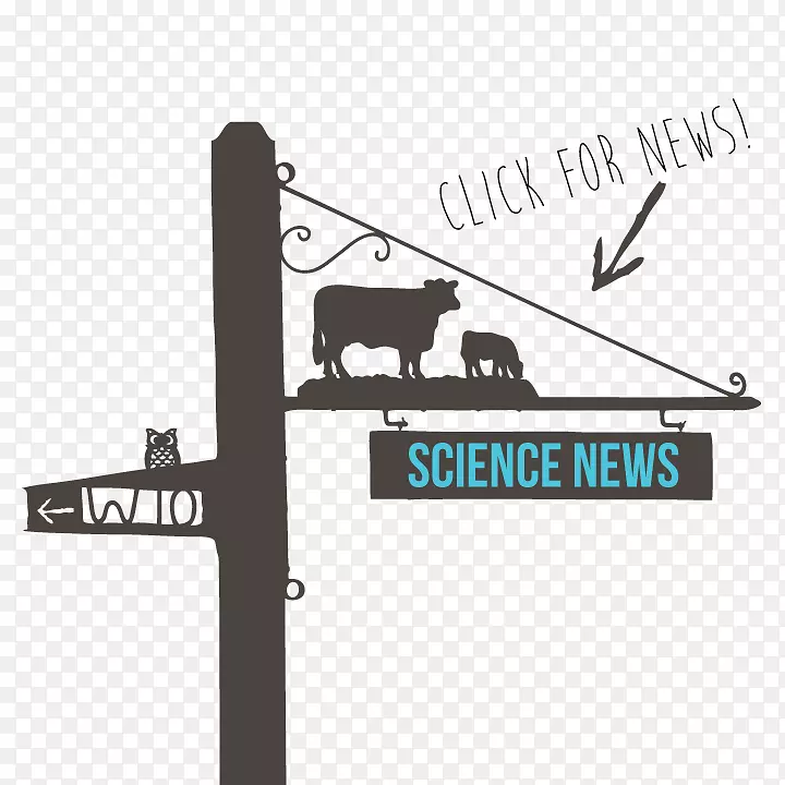 T�����-������