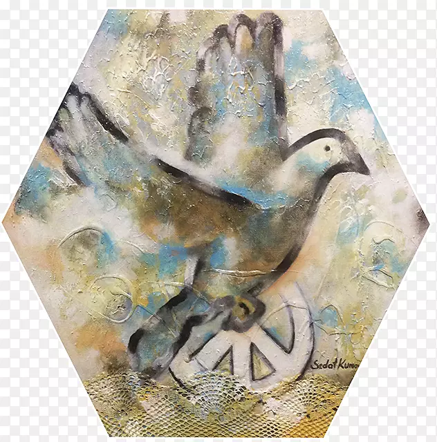 ����Ⱥ����-Petek-������